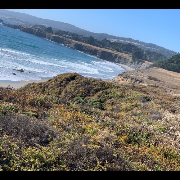 Meet your Posher, Gretchen - Picture 2 of 8